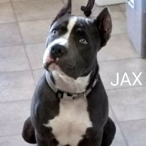 Meet your Posher, Melinda